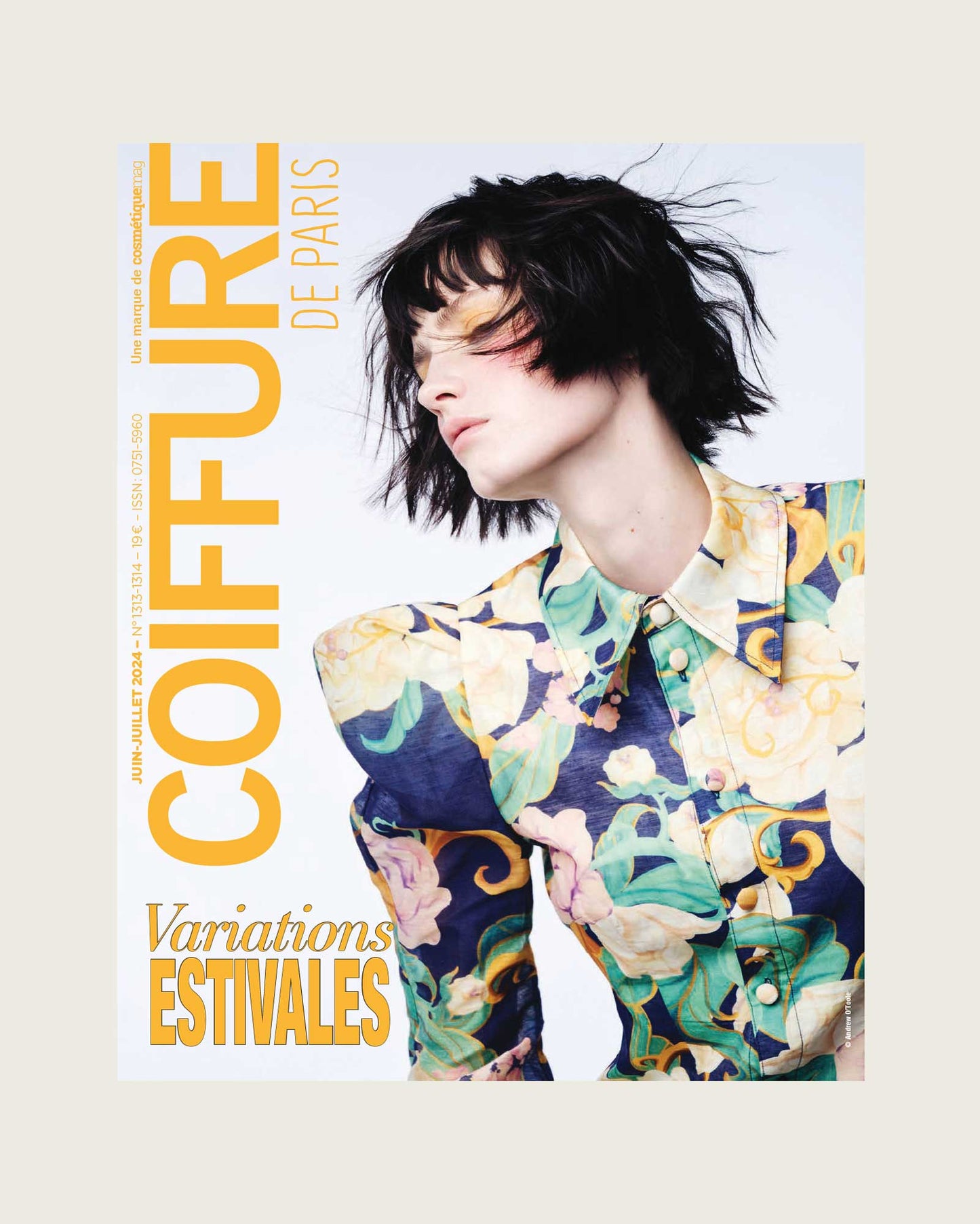 Coiffure de Paris 1313/1314 - Juin/Juillet 2024